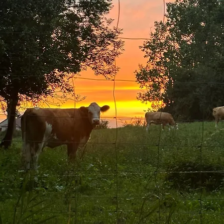 Appartement Us Uckermark *